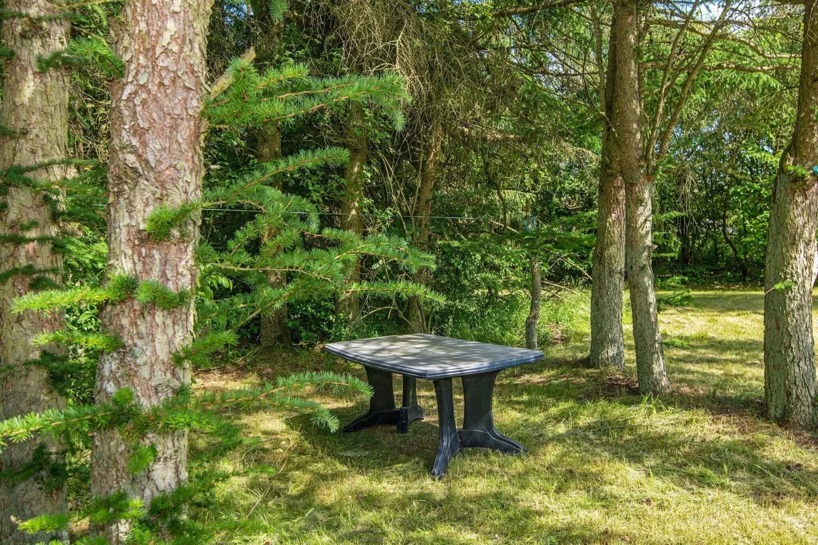 6 persoons vakantie huis in Højslev-By Traum-Binnen