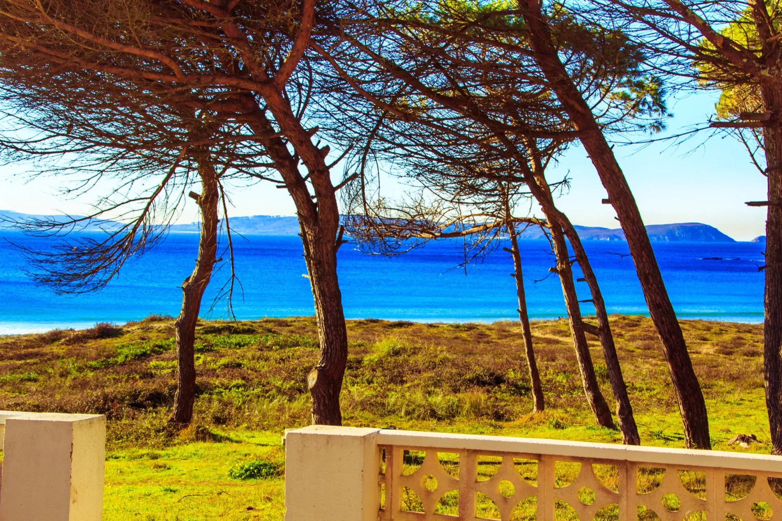 Playa Montalvo - Bajo 6