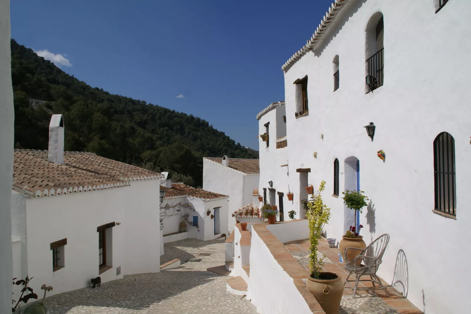 Cortijo Ricardo-Gebieden zomer 1km