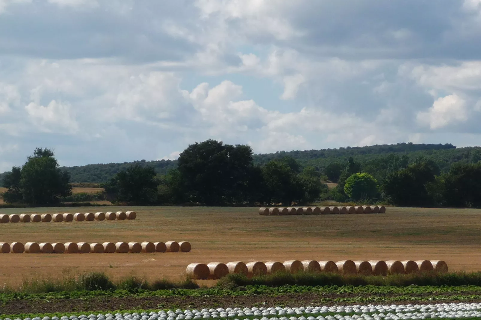 LA LUBERONNE-Gebieden zomer 1km
