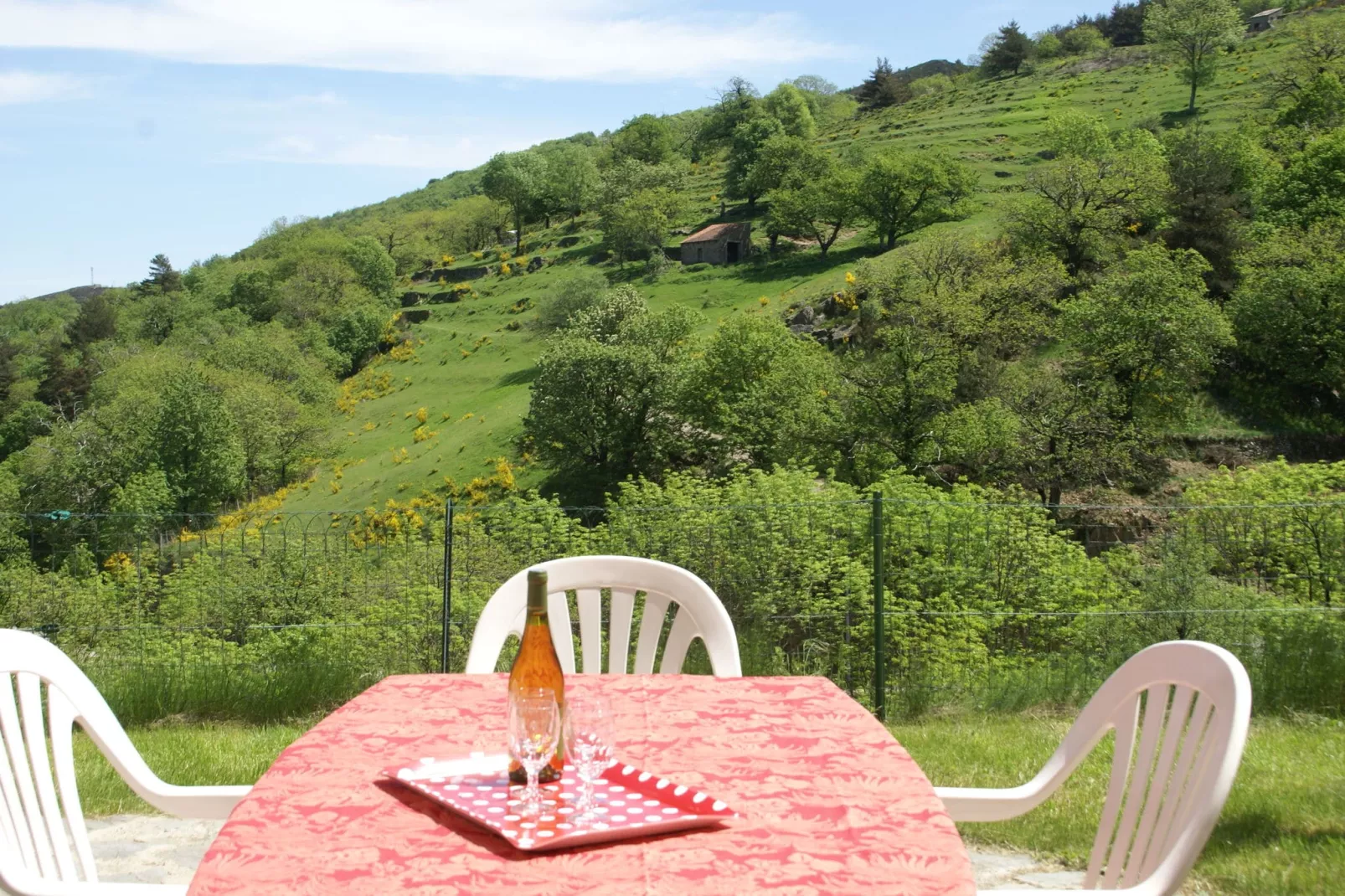 Maison de Vacances  - St Julien de Gua-Sfeer