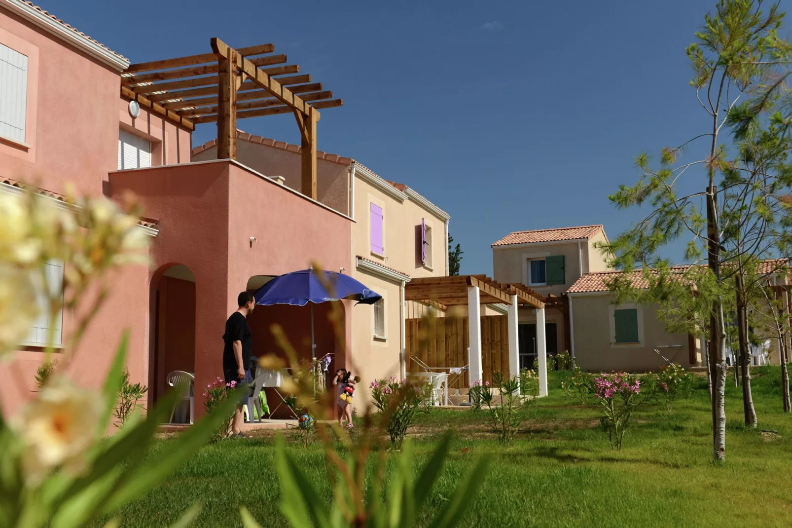 Rèsidence Le Mas des Alpilles 1-Tuinen zomer