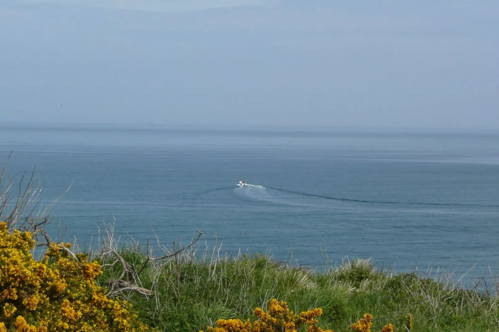 Holiday Flat Courseulles-sur-Mer-Gebieden zomer 20km