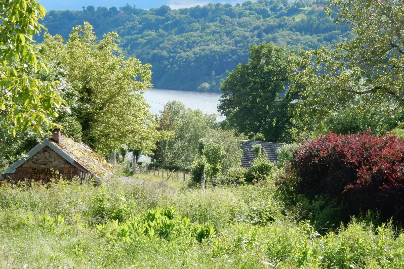 Le Soleil-Gebieden zomer 1km