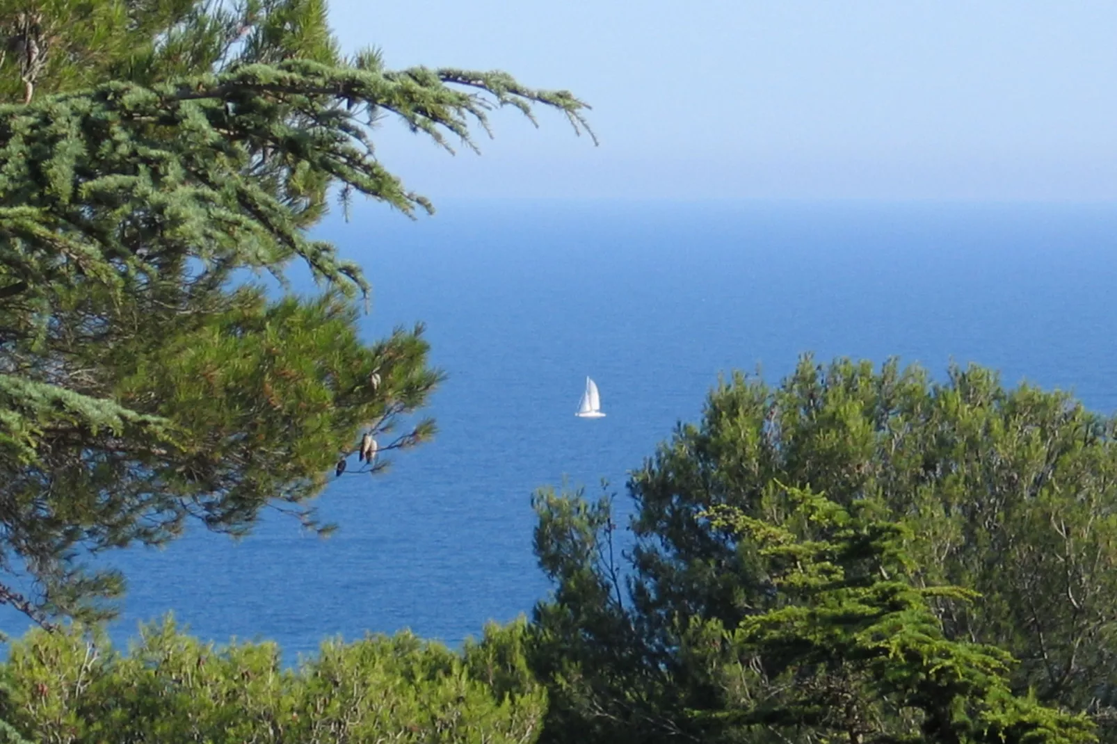 Les Pescalunes 2
