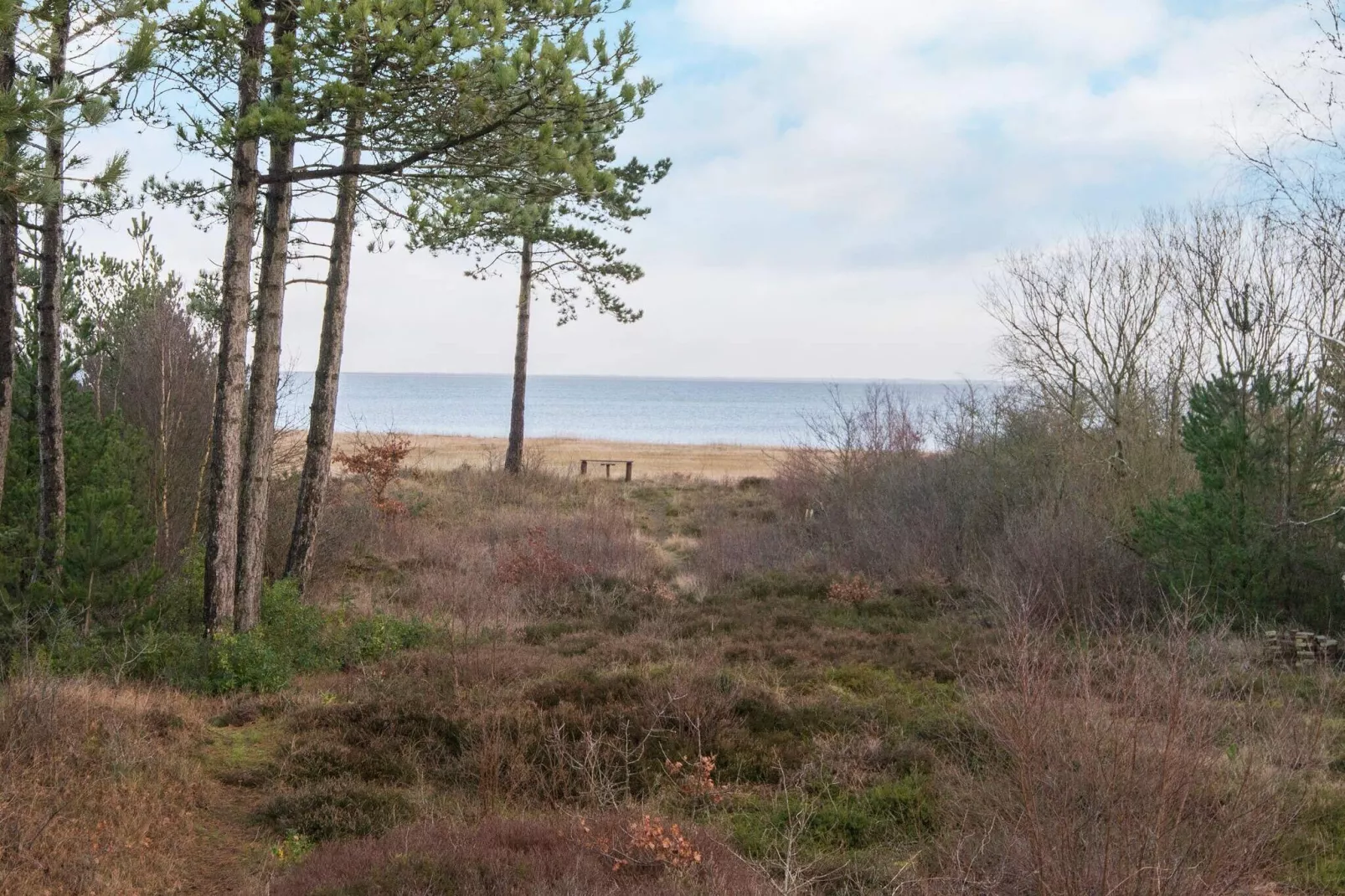 4 persoons vakantie huis in Rømø-By Traum-Waterzicht