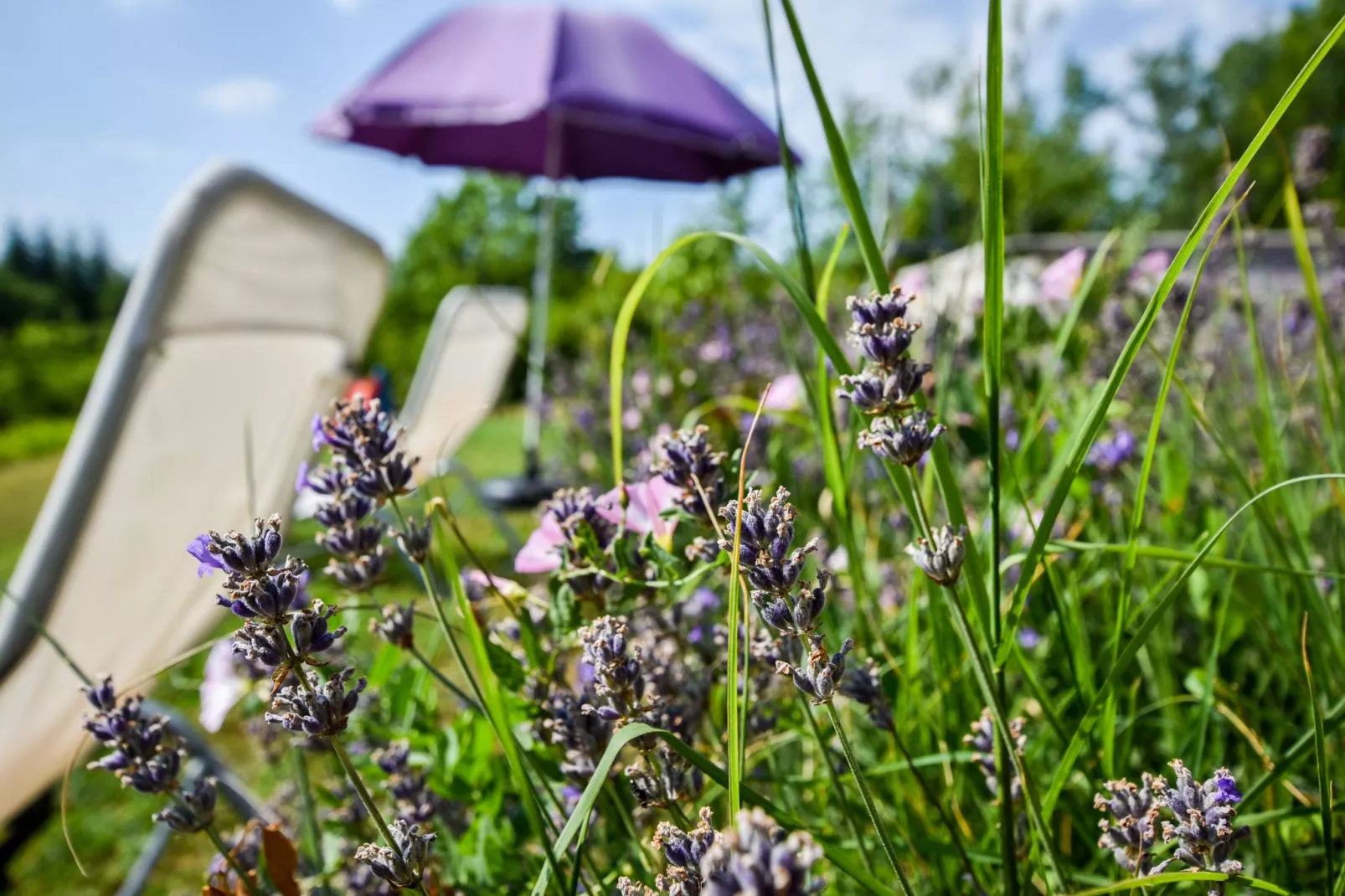 Le Repos près de Dordogne et Cahors-Sfeer