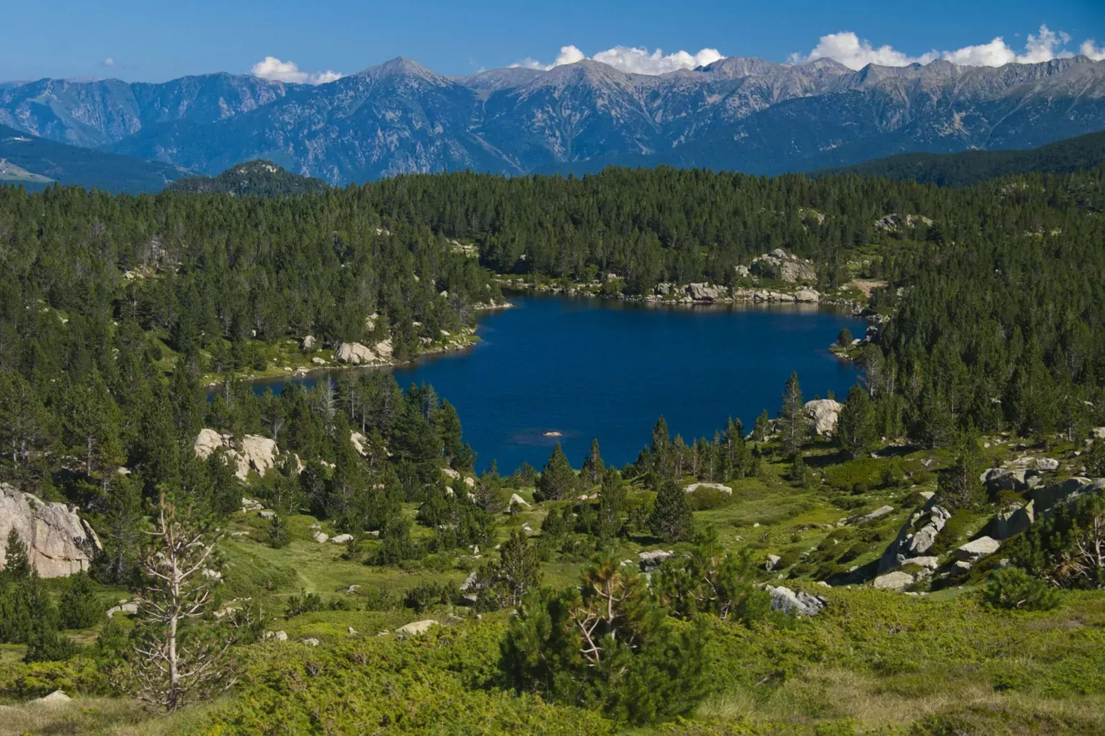 Chalet Panoramique-Gebieden zomer 20km