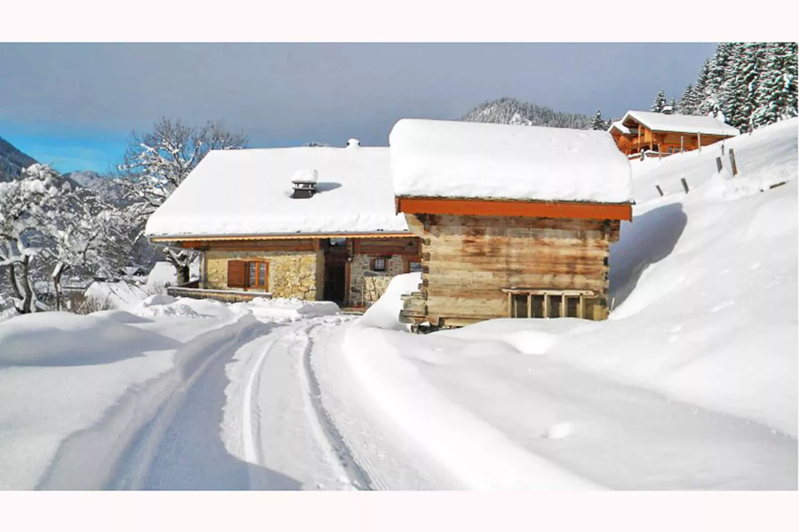 Chalet Petit Châtel