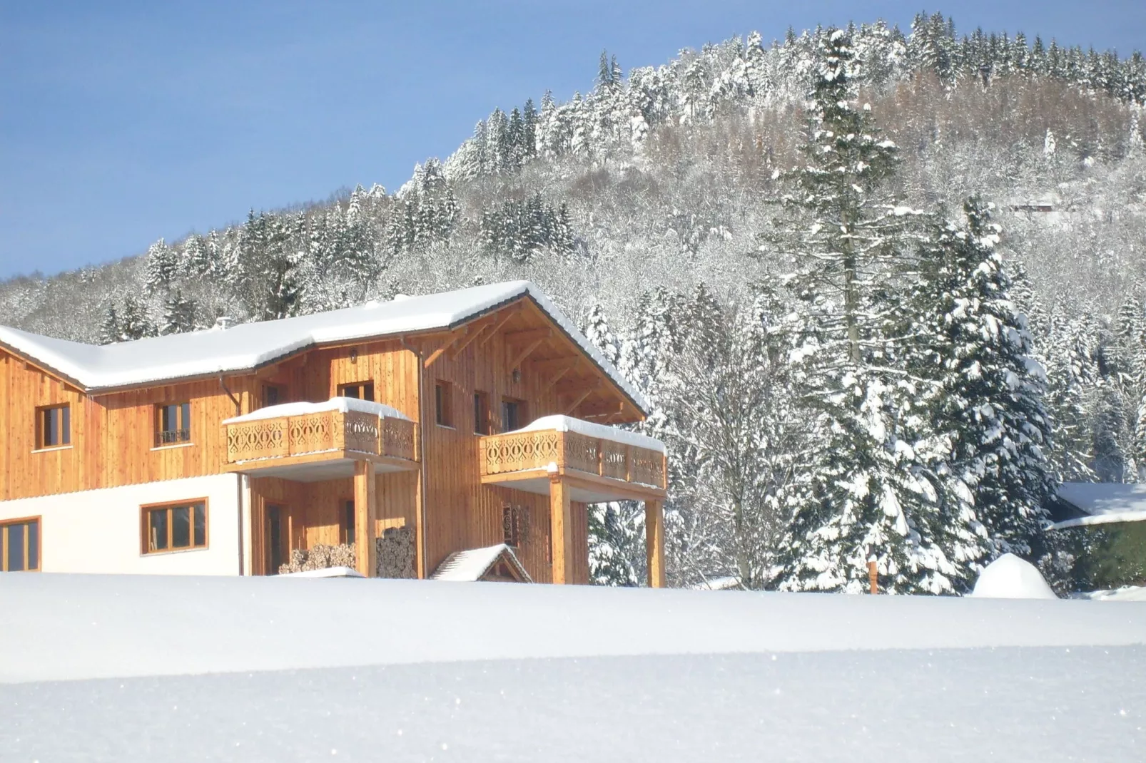 Les Chalets des Ayes 4-Exterieur winter