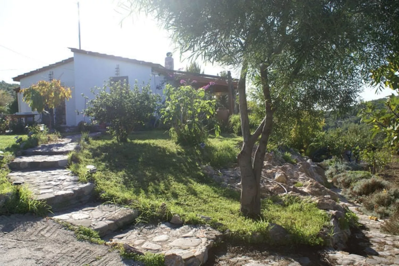 House Kritinia Rhodos-Buitenkant zomer