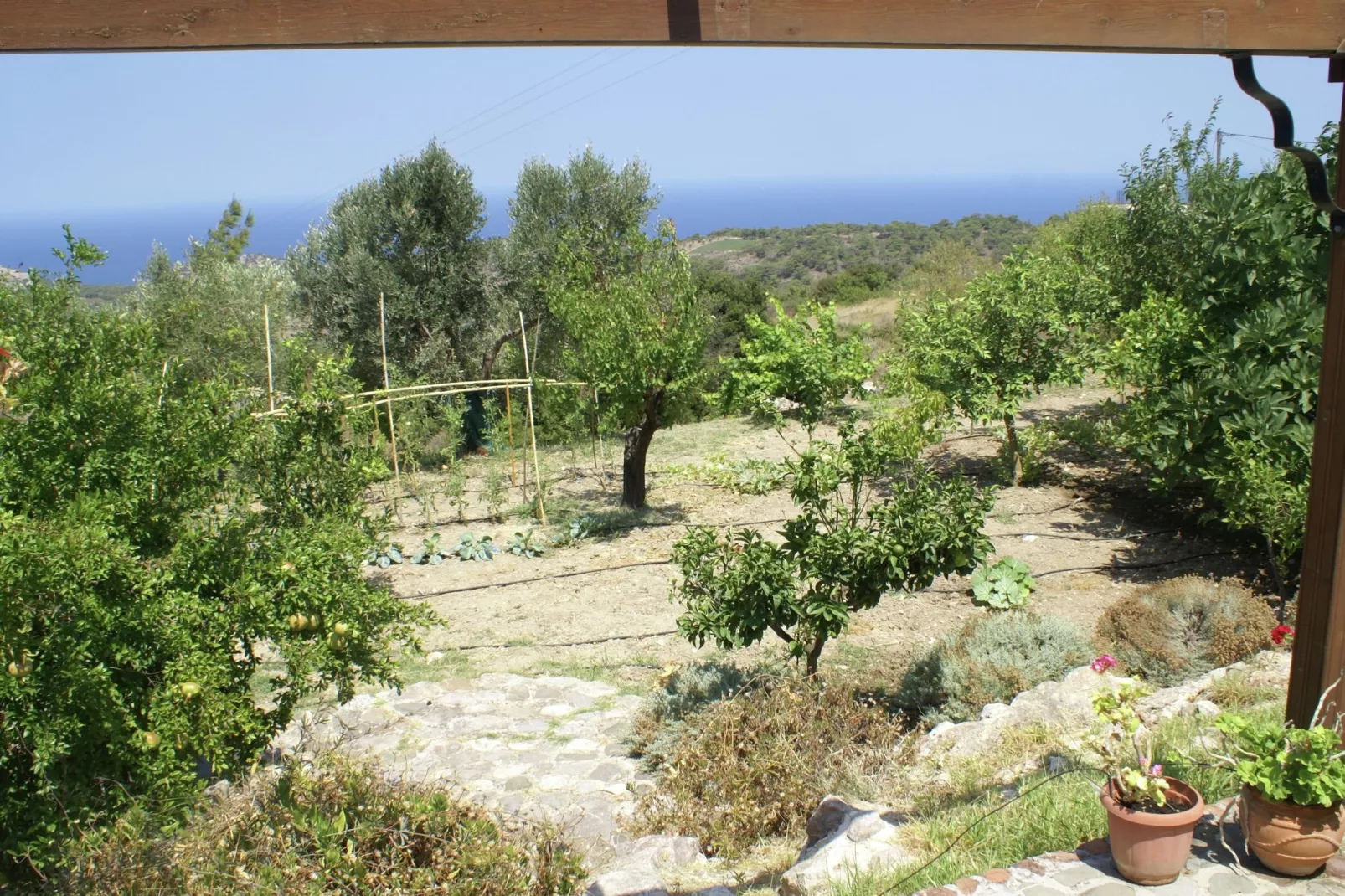 House Kritinia Rhodos-Tuinen zomer