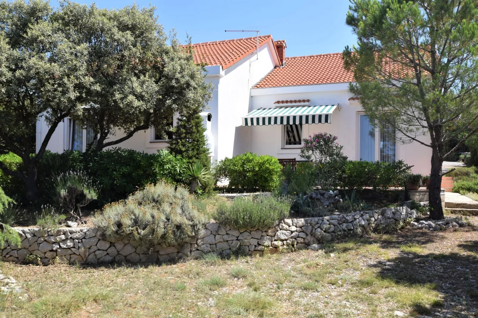 Apartment Petar