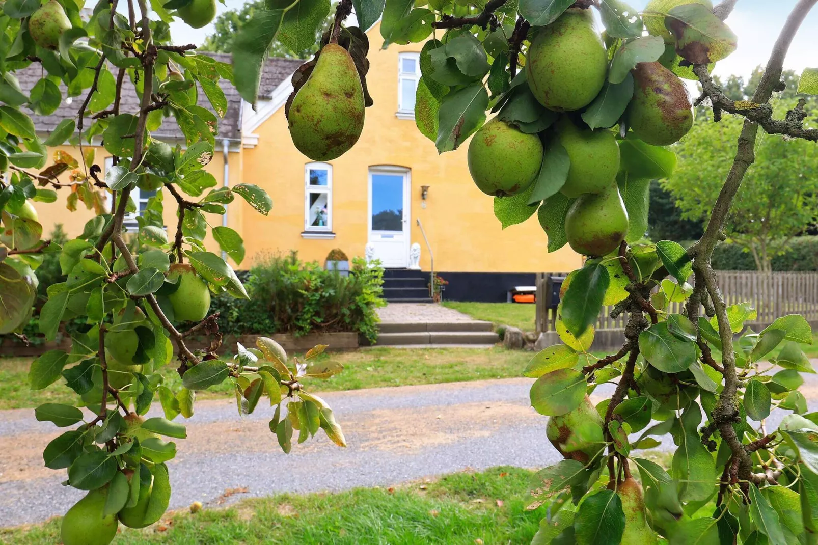 6 persoons vakantie huis in Søby Ærø-Uitzicht