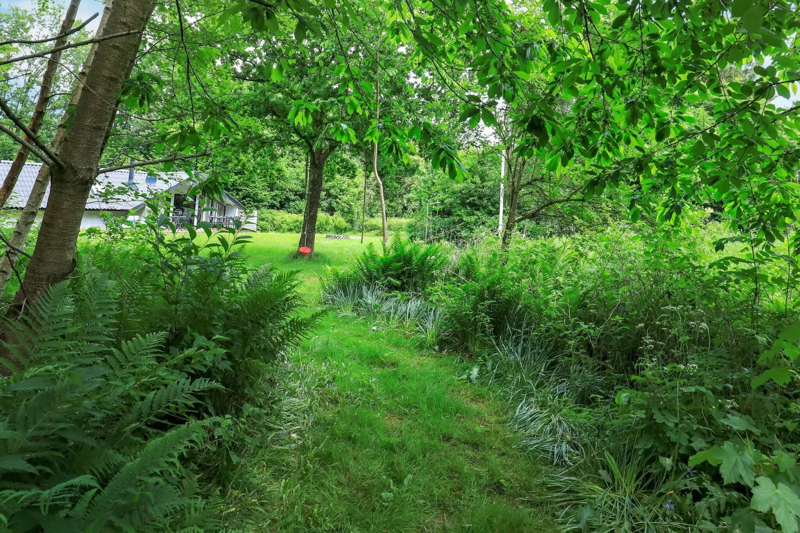 6 persoons vakantie huis in Roslev-By Traum-Uitzicht