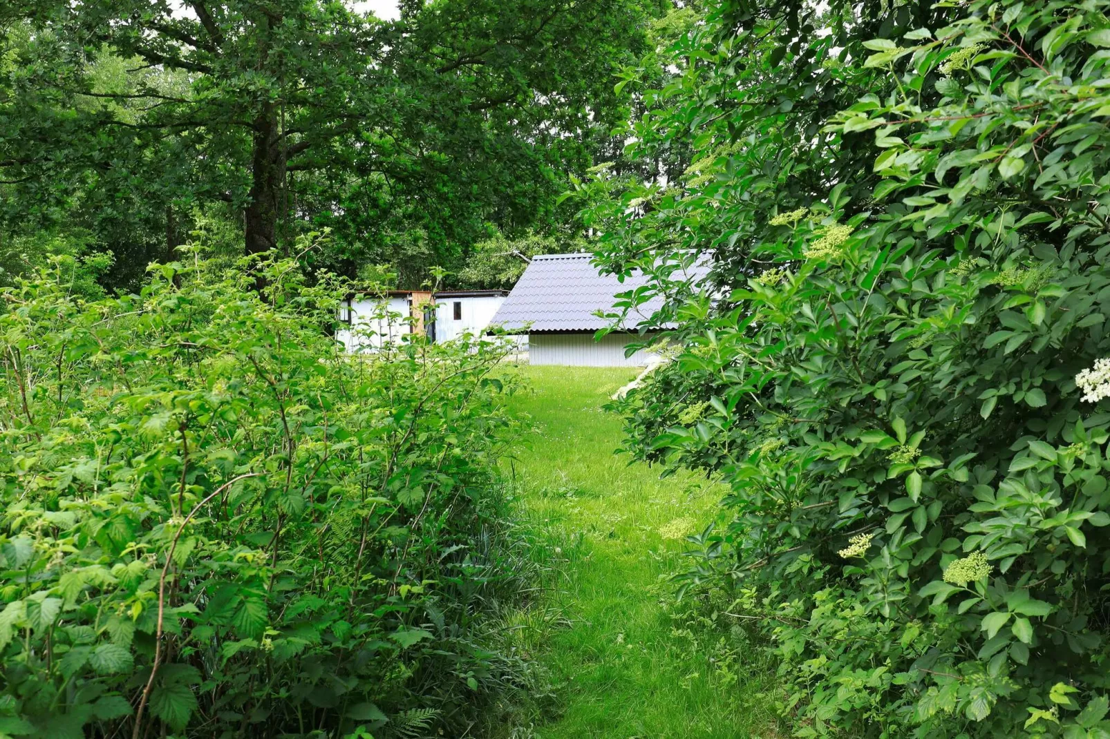 6 persoons vakantie huis in Roslev-By Traum-Uitzicht