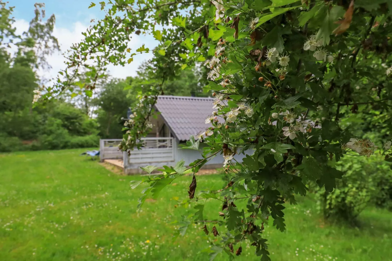 6 persoons vakantie huis in Roslev-By Traum-Uitzicht