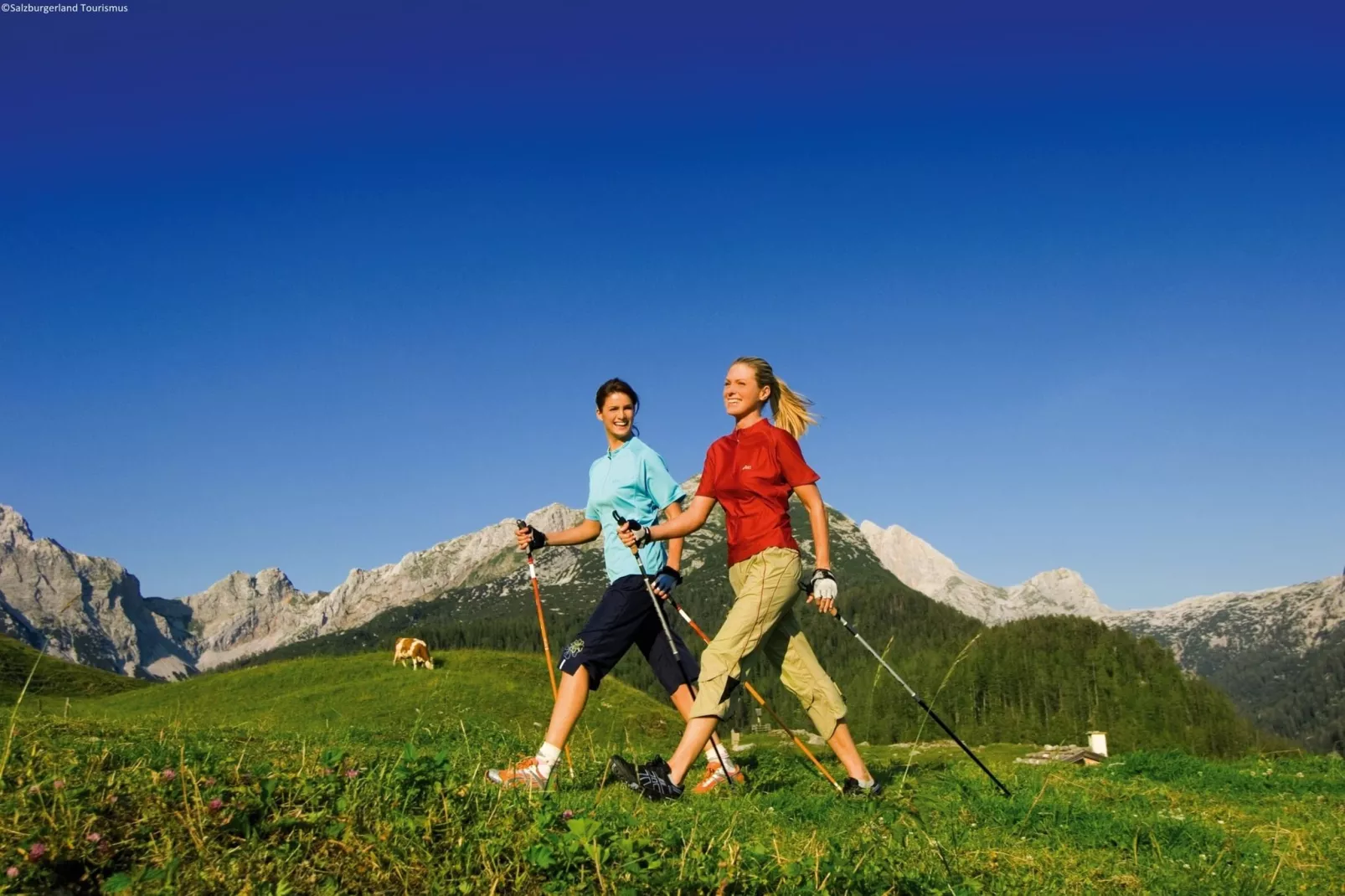 Residenz Wildkogelbahnen-Gebieden zomer 1km