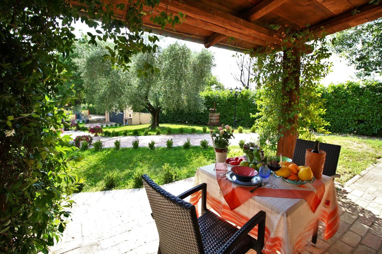 Ulivo-Terrasbalkon