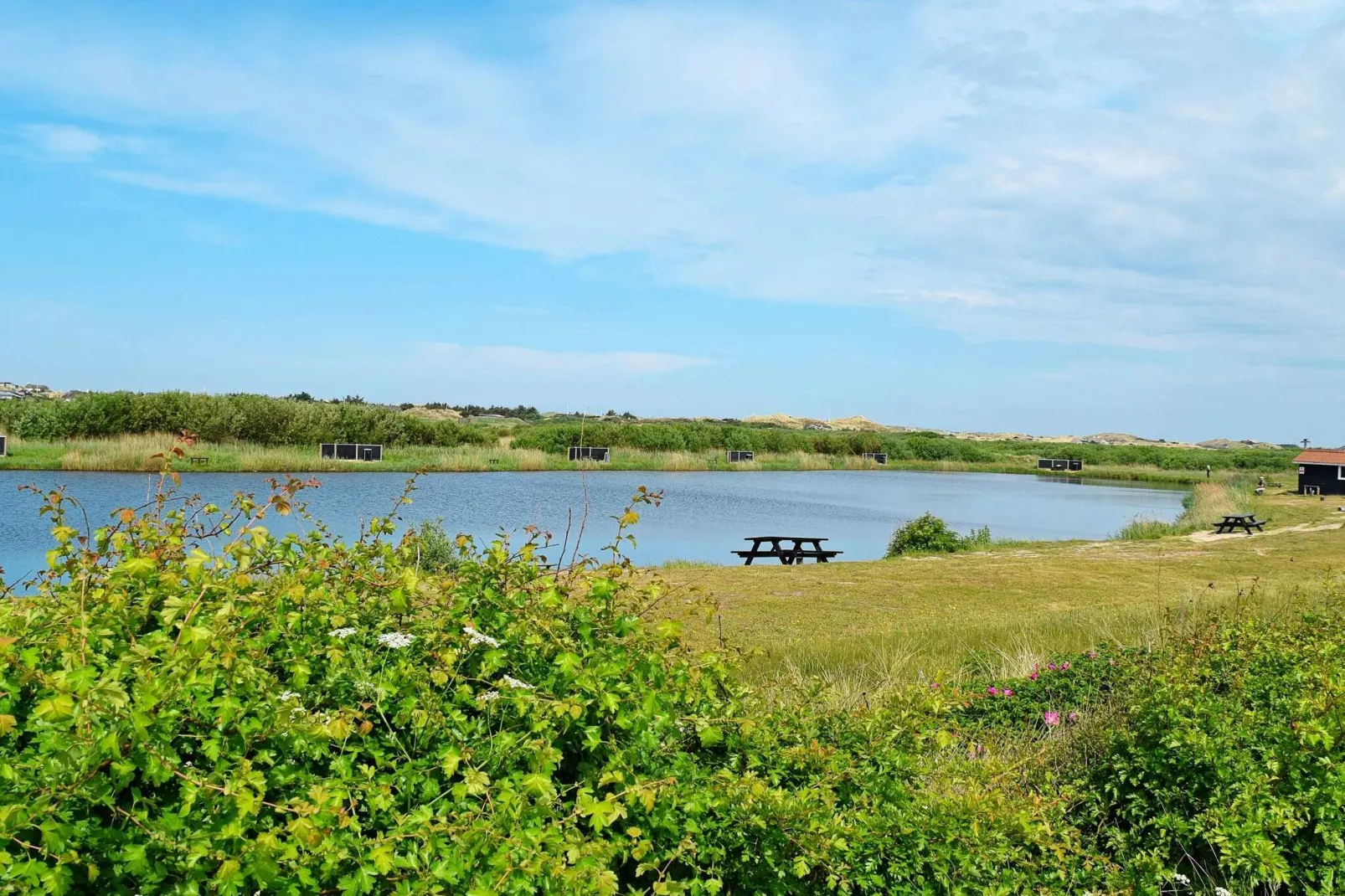 5 persoons vakantie huis in Ringkøbing-By Traum-Uitzicht