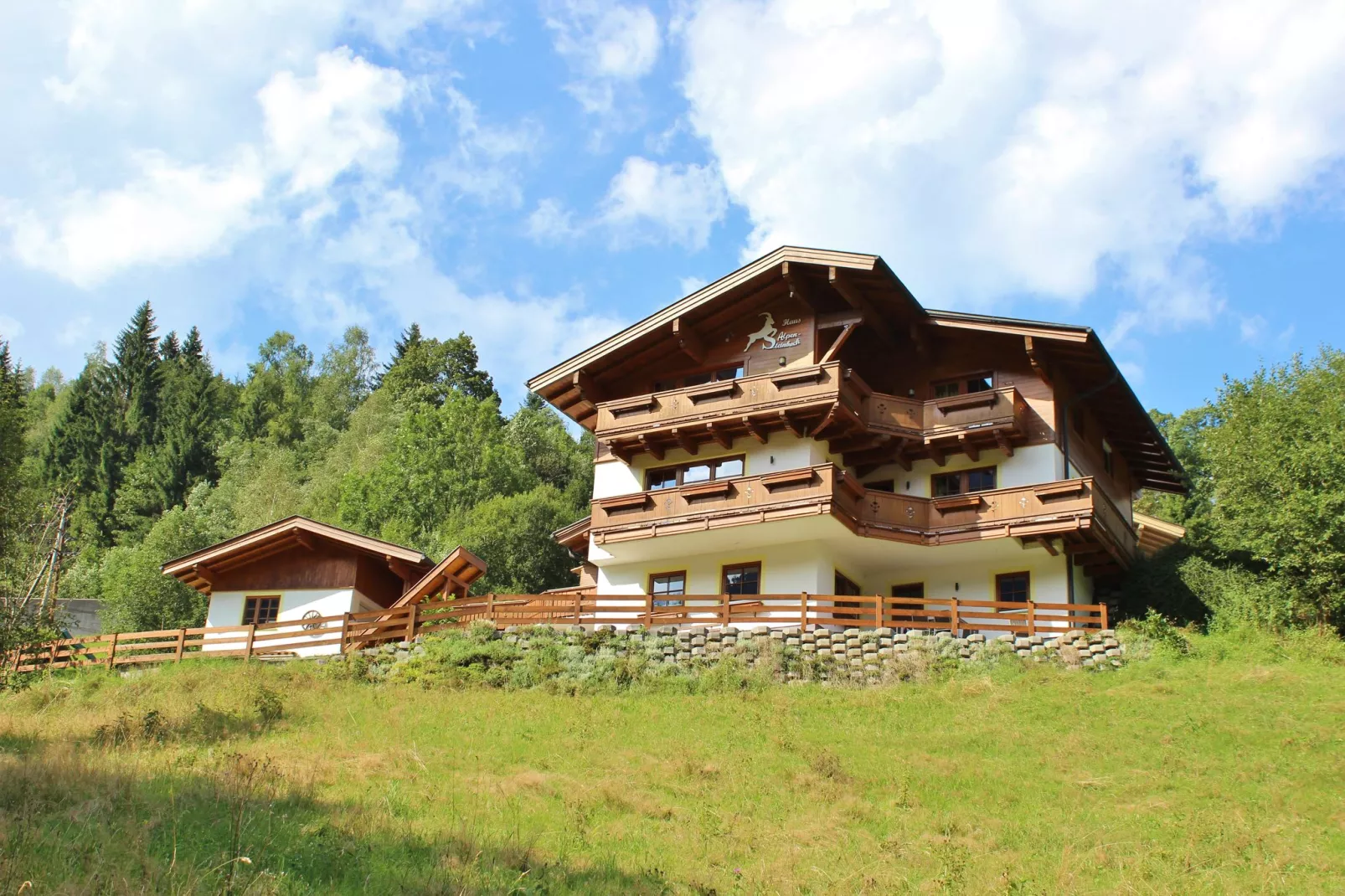 Alpensteinbock Saalbach-Buitenkant zomer