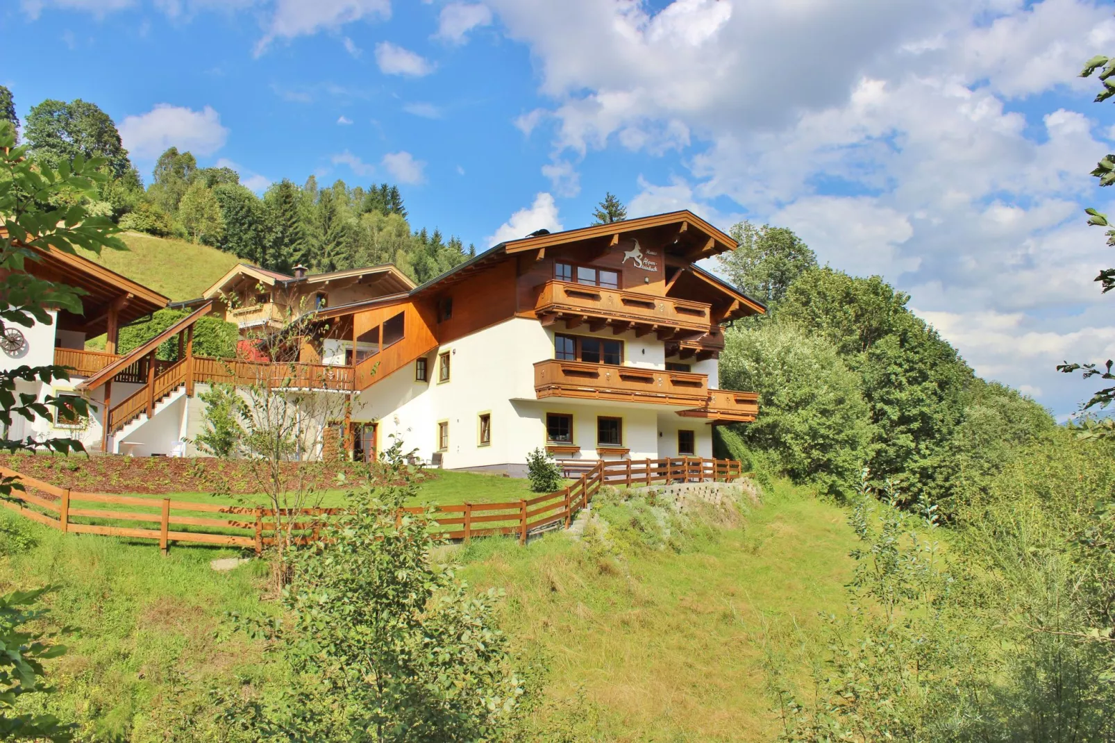 Alpensteinbock Saalbach-Buitenkant zomer