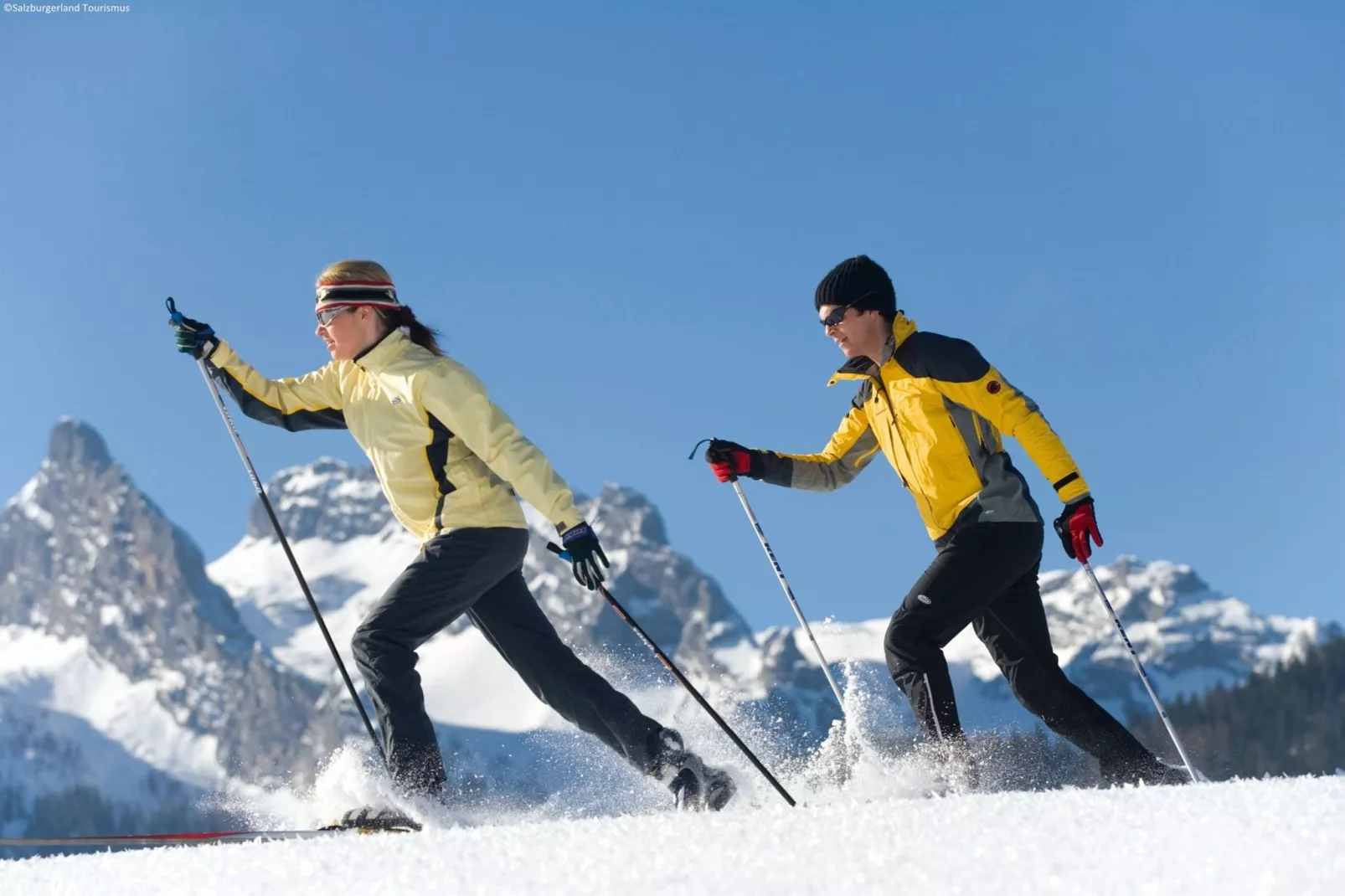 Alpensteinbock Saalbach B-Gebied winter 1km