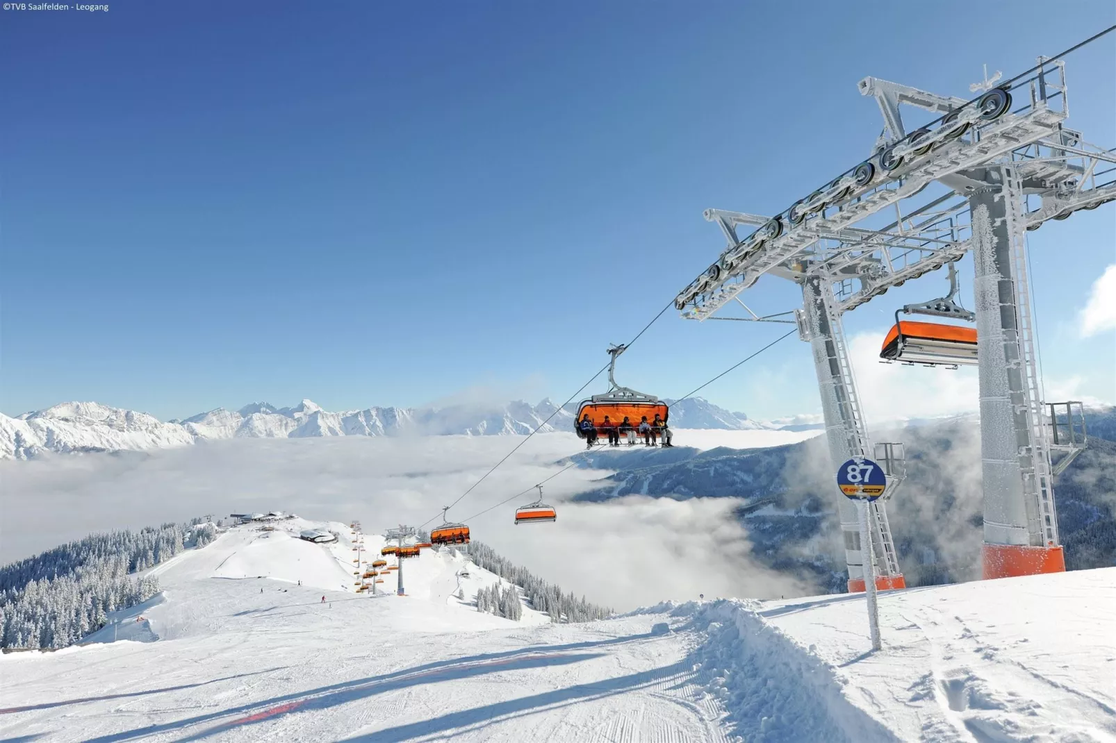 Alpensteinbock Saalbach B-Gebied winter 5km