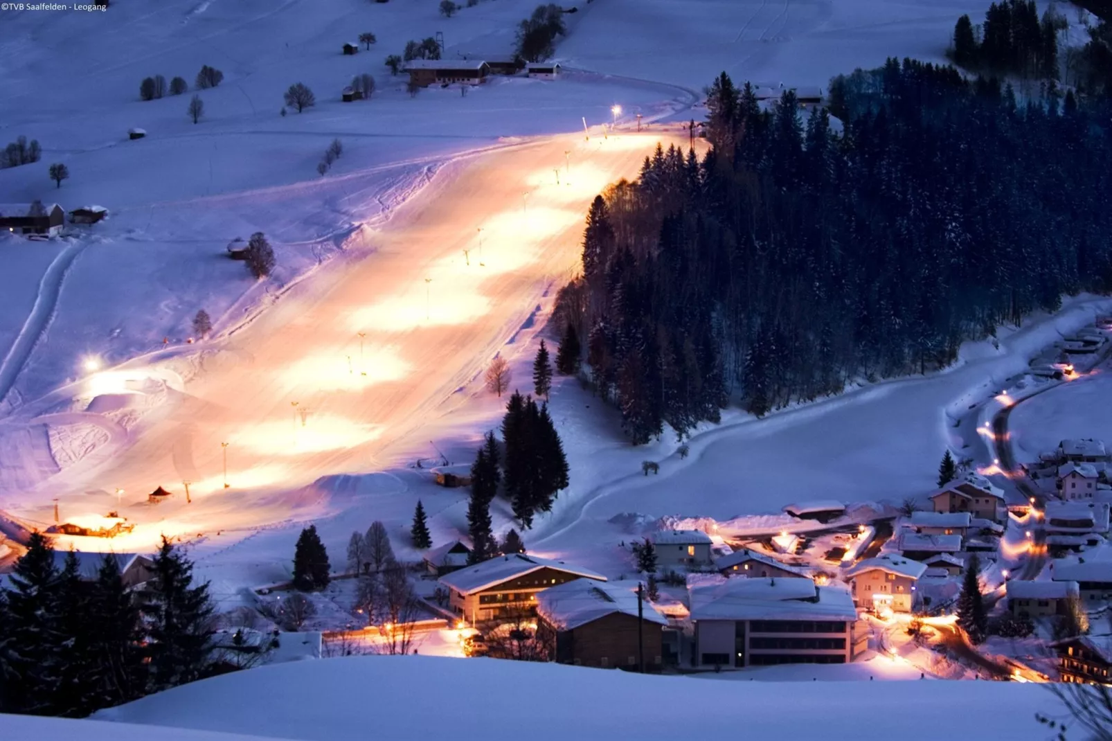 Alpensteinbock Saalbach B-Gebied winter 20km