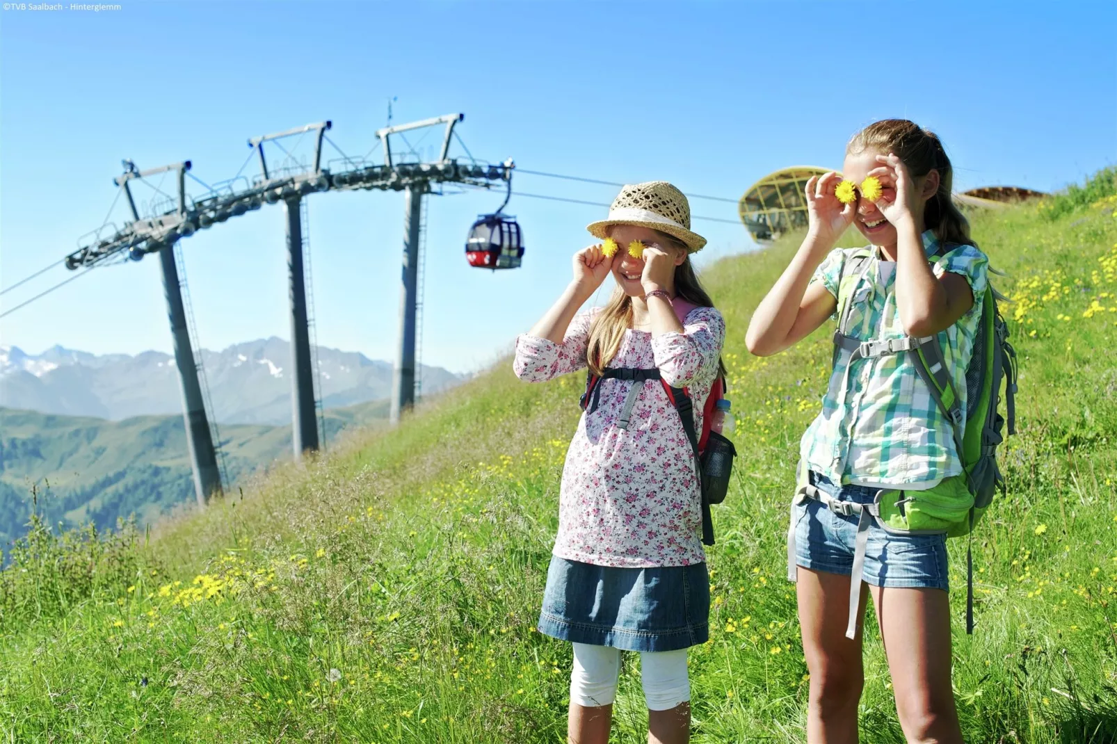 Alpensteinbock Saalbach D-Gebieden zomer 5km