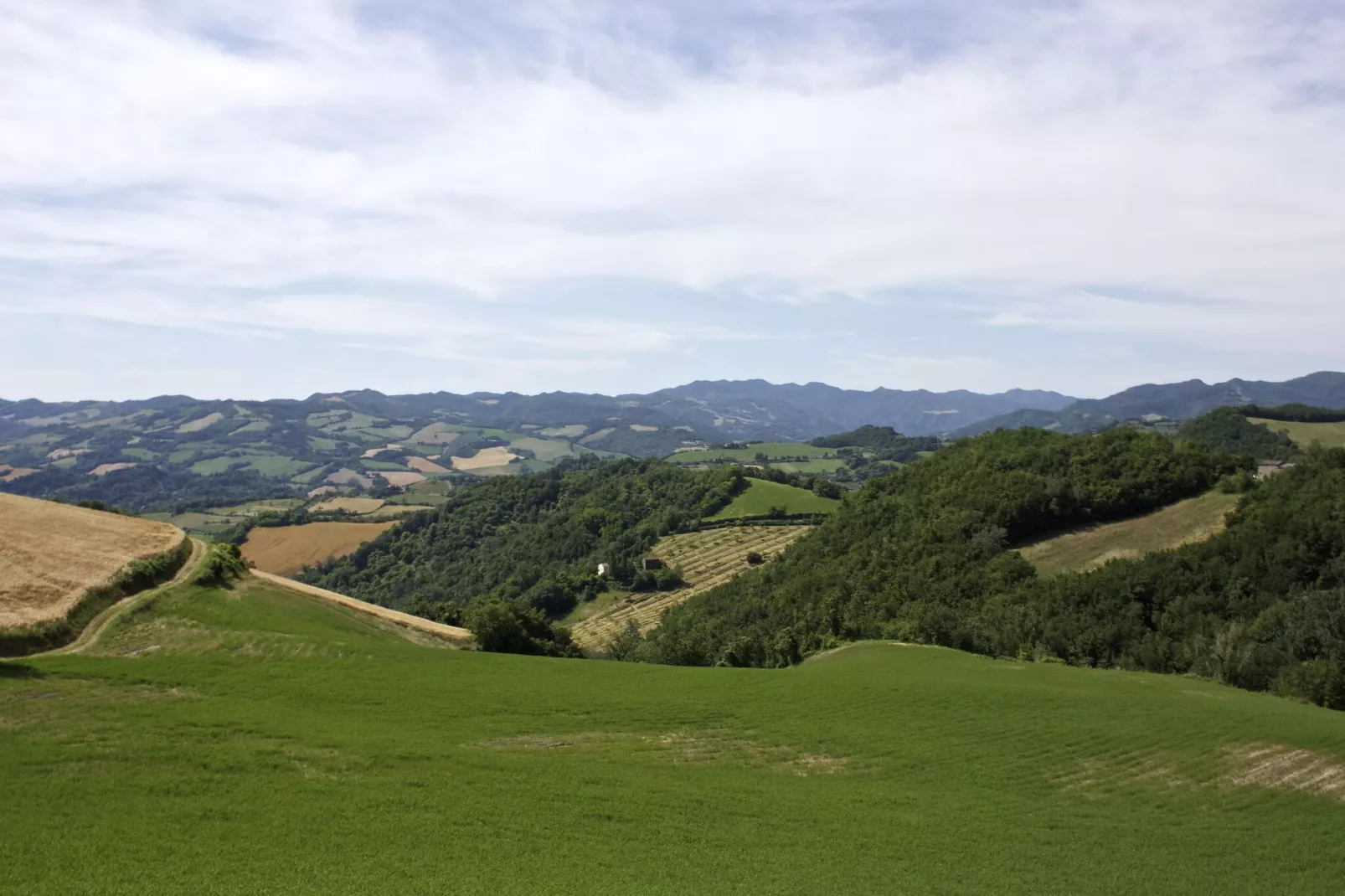 Gesso Piccolo-Gebieden zomer 1km