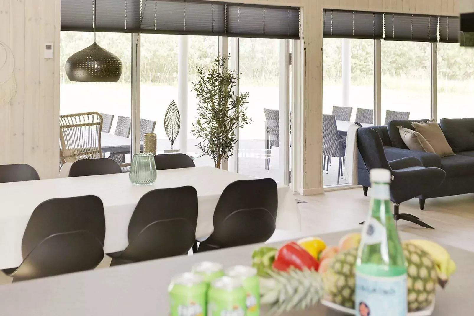 16 persoons vakantie huis in Idestrup-Binnen