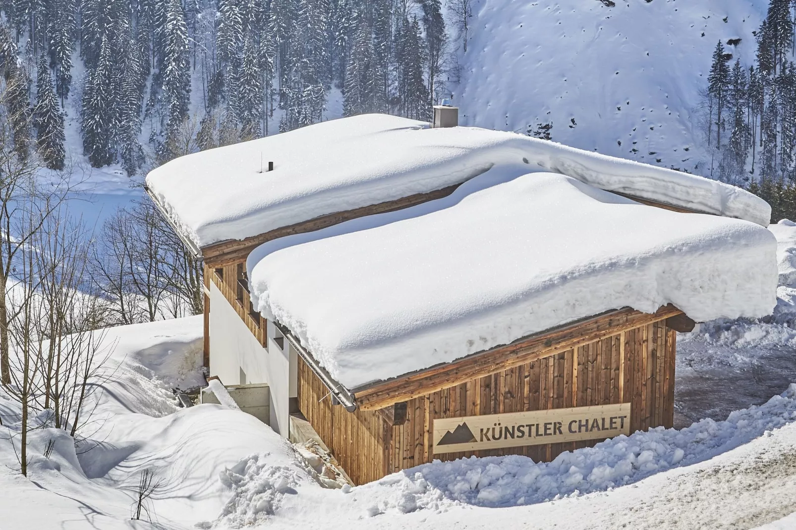 Chalet Künstler-Exterieur winter