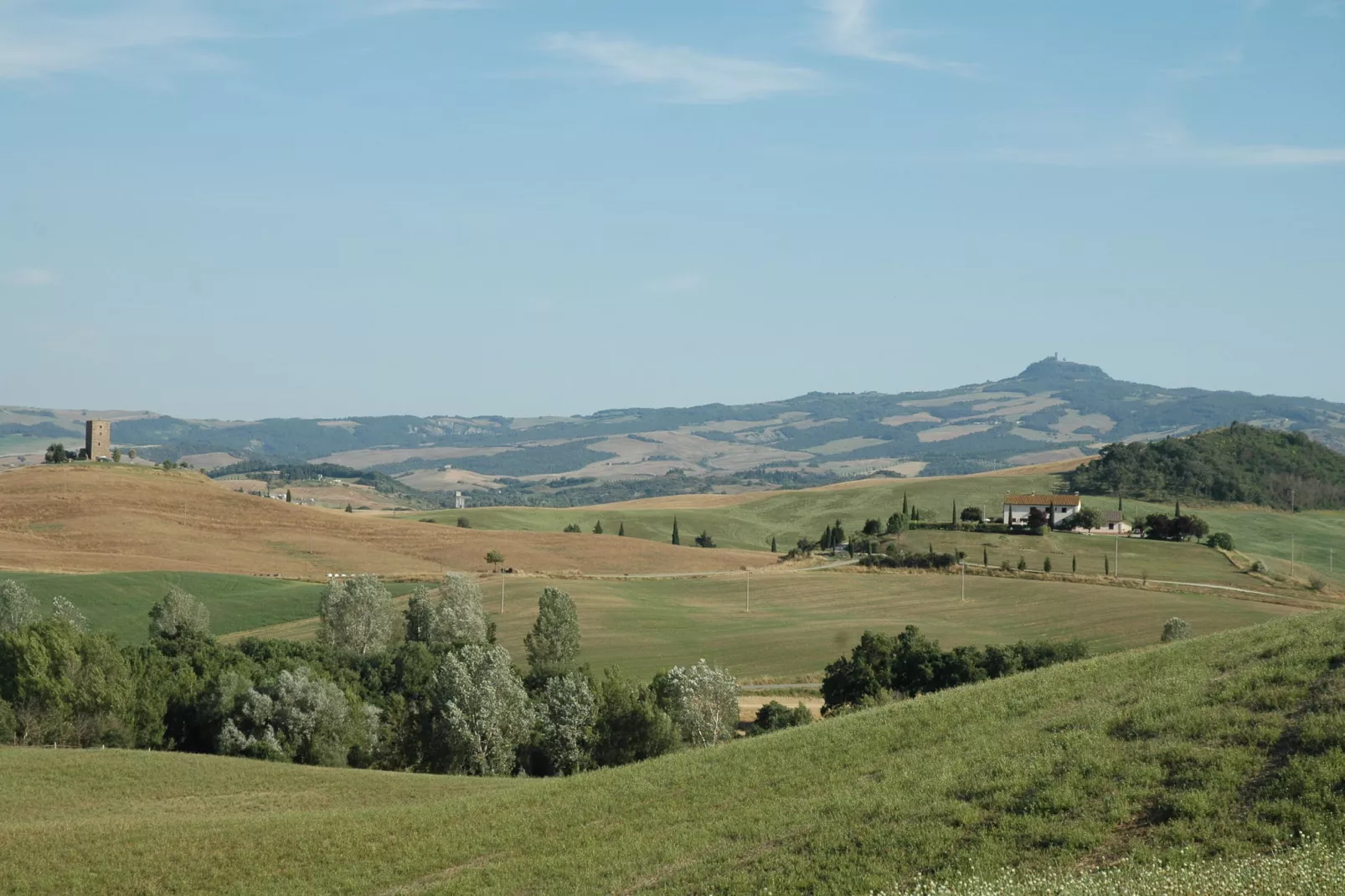 Mulino
