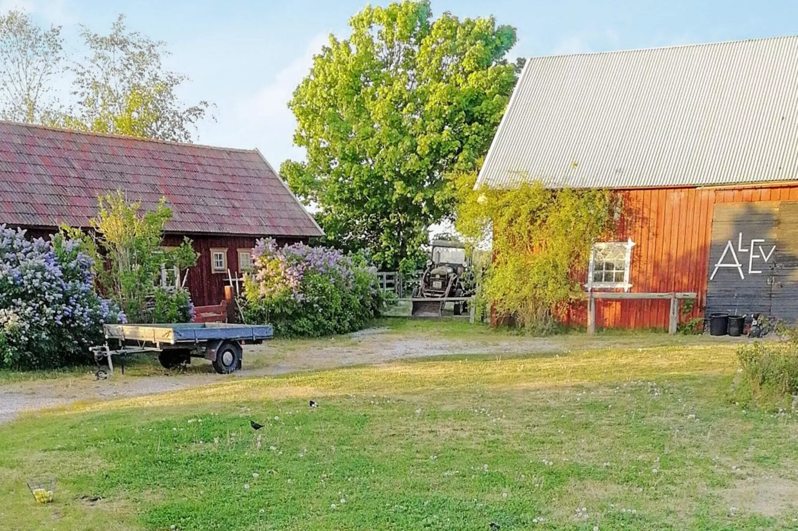 8 persoons vakantie huis in GOTLANDS.TOFTA-Buitenlucht