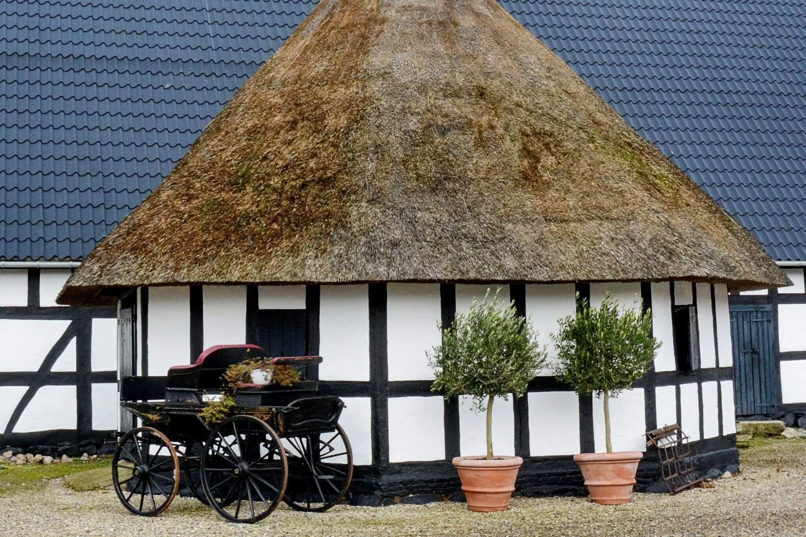 20 persoons vakantie huis in Svendborg-Buitenlucht