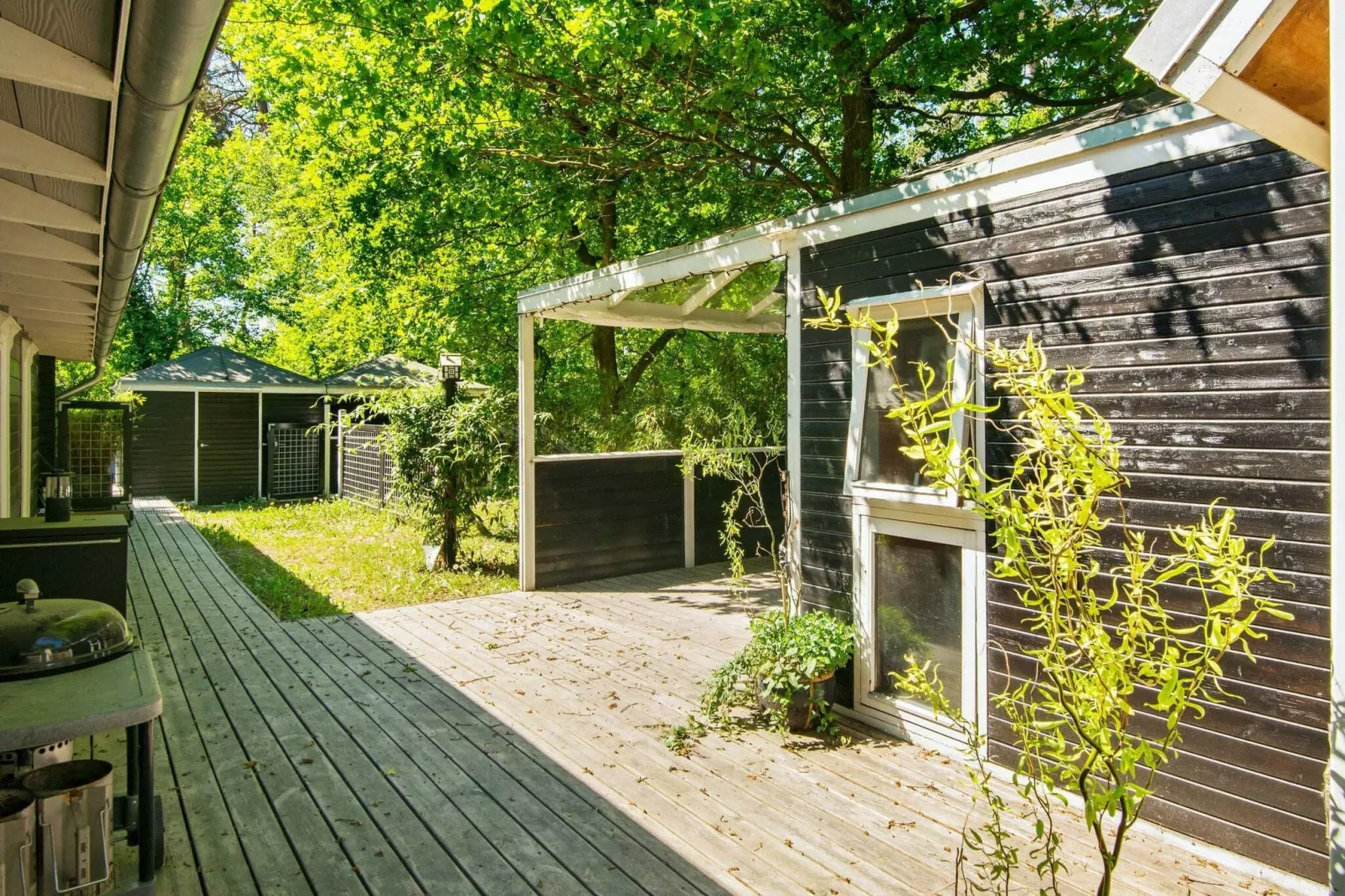 6 persoons vakantie huis in Rønde-Buitenlucht
