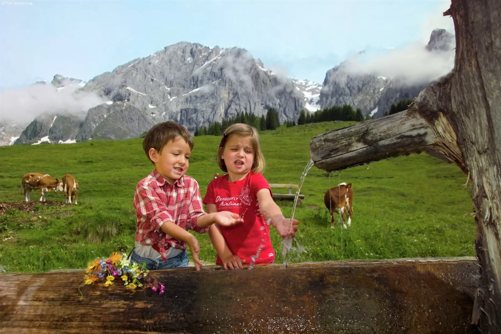 Chalet Schattberg-Gebieden zomer 5km