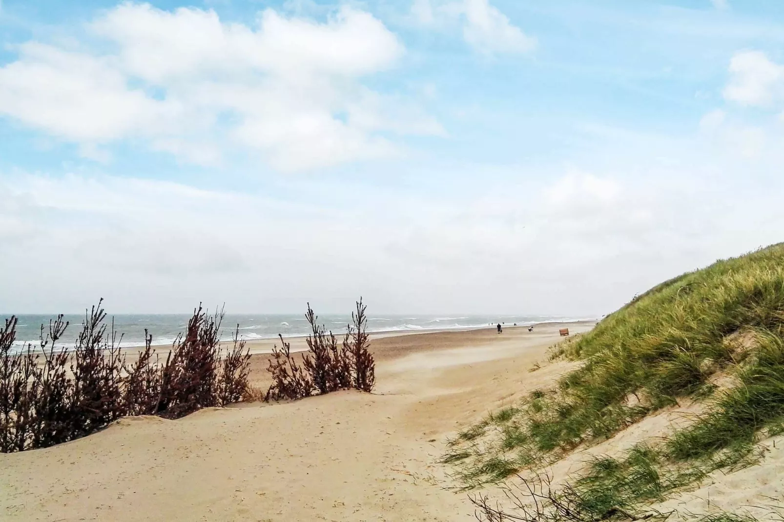 Moderne vakantiewoning in Vestervig met binnenzwembad-Uitzicht