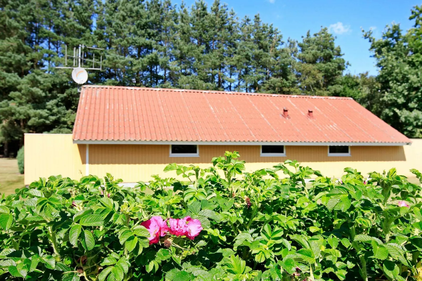 8 persoons vakantie huis in Oksbøl-By Traum-Uitzicht