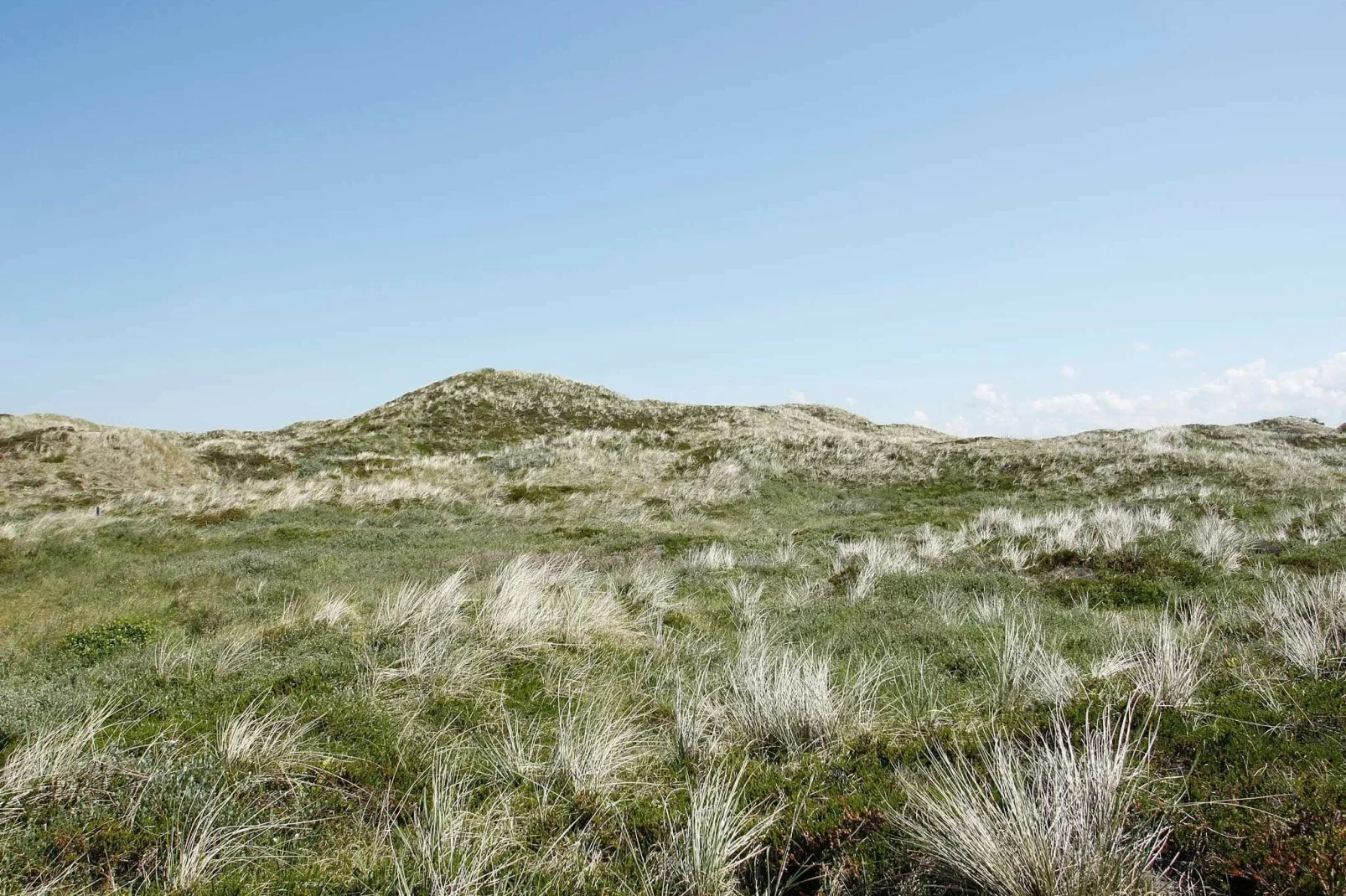 6 persoons vakantie huis in Pandrup-By Traum-Uitzicht