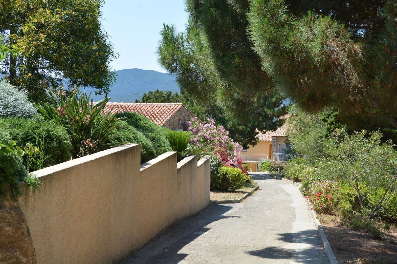 Residence Alba Rossa Serra-di-Ferro // Villa 1 Chambre Côté Nature