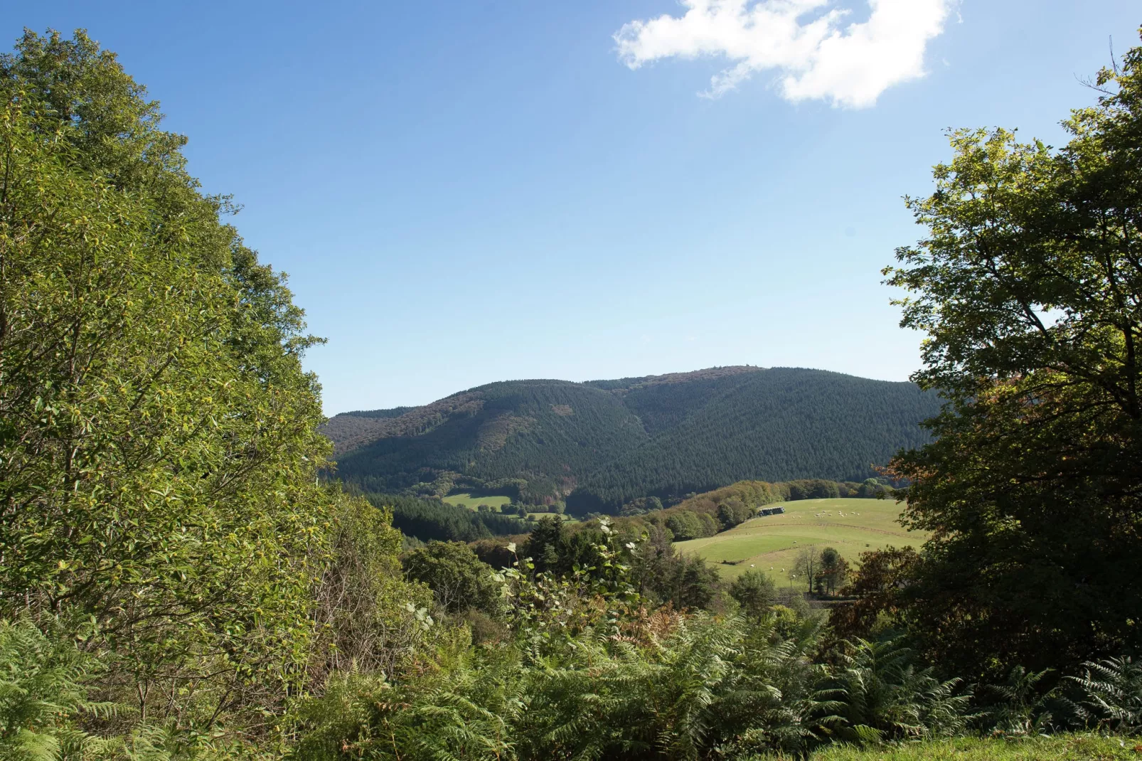 Ste Odile-Gebieden zomer 5km