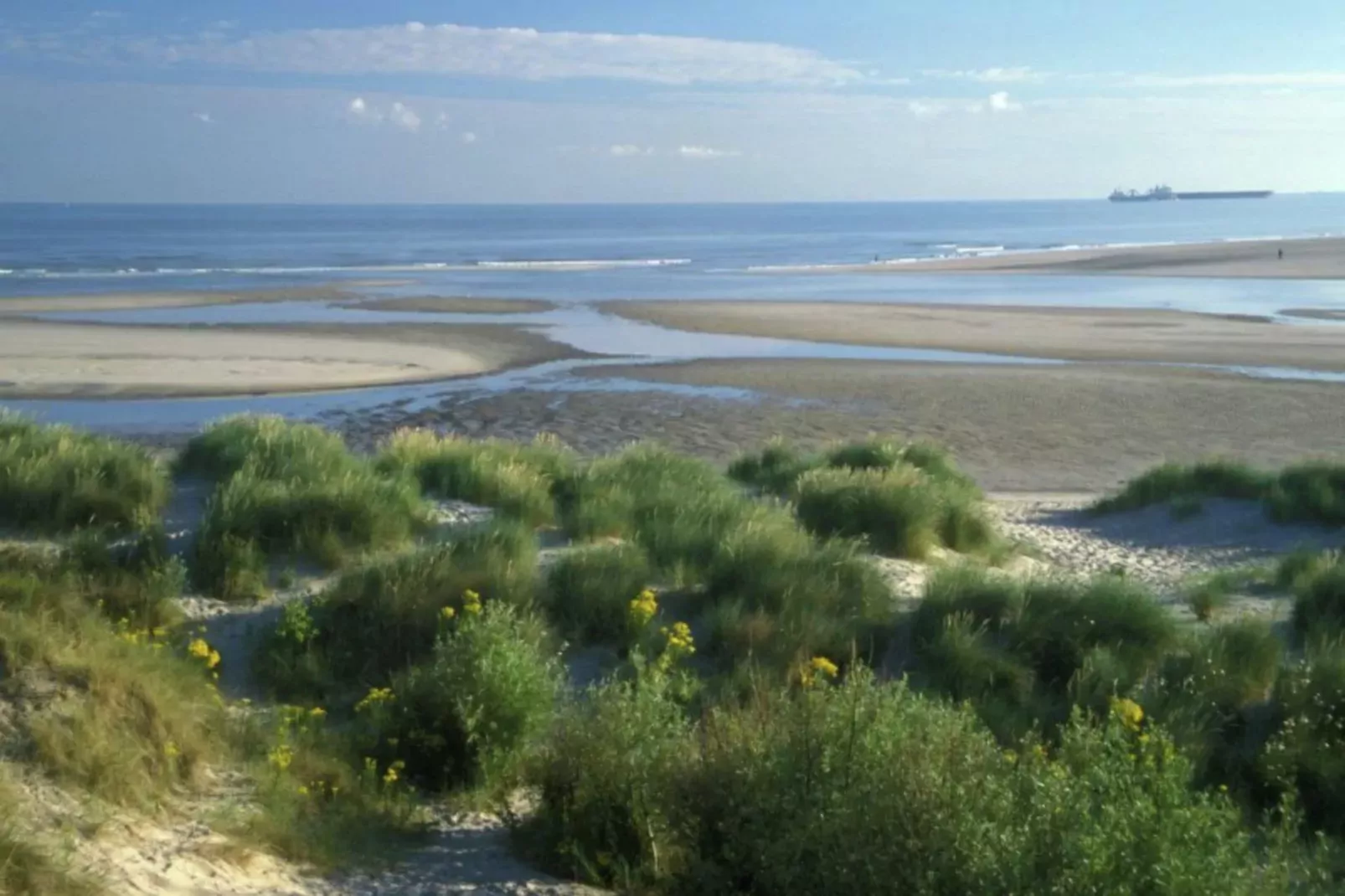 Etoile de Mer 2-Gebieden zomer 1km