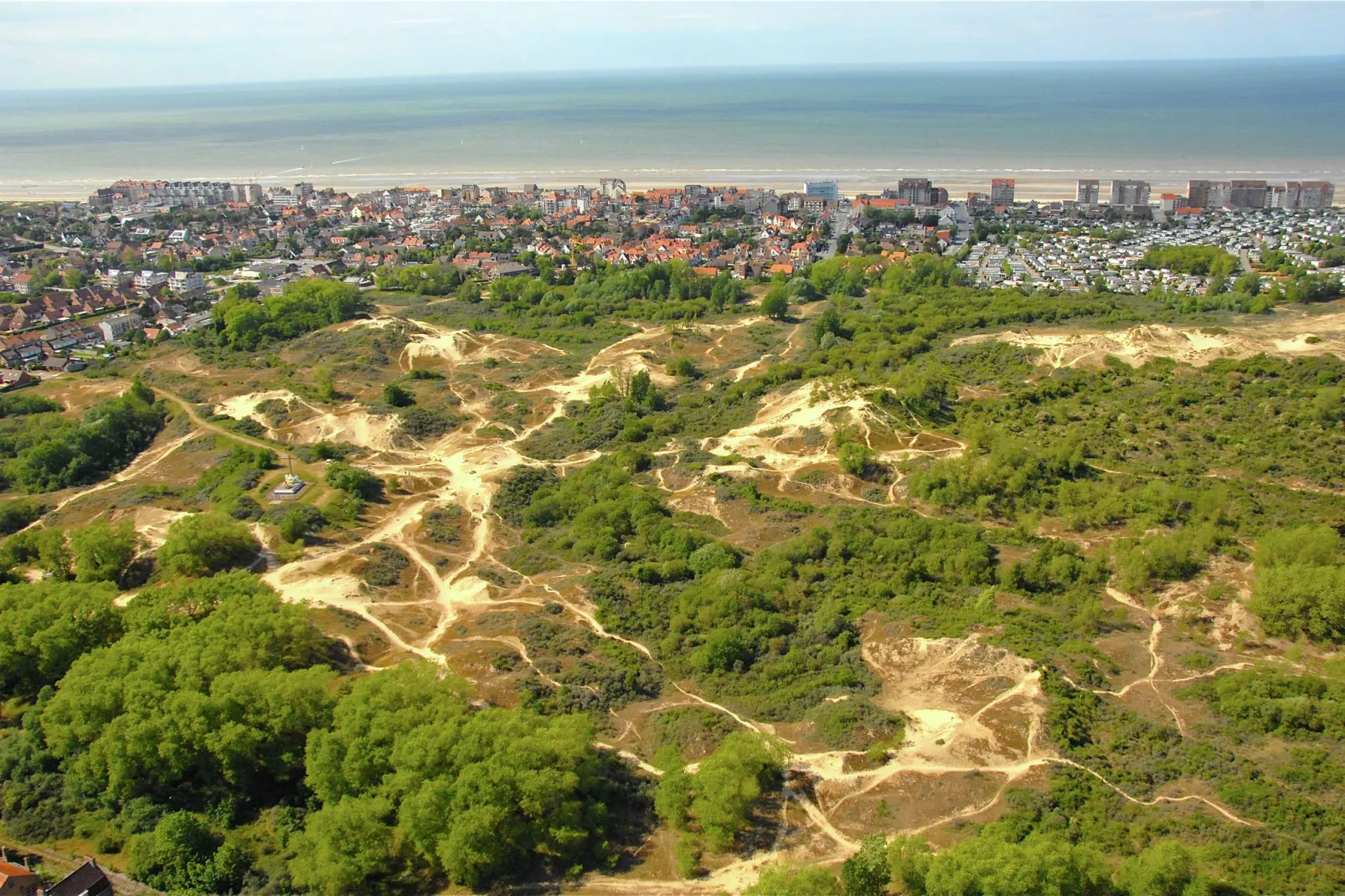 Etoile de Mer 2