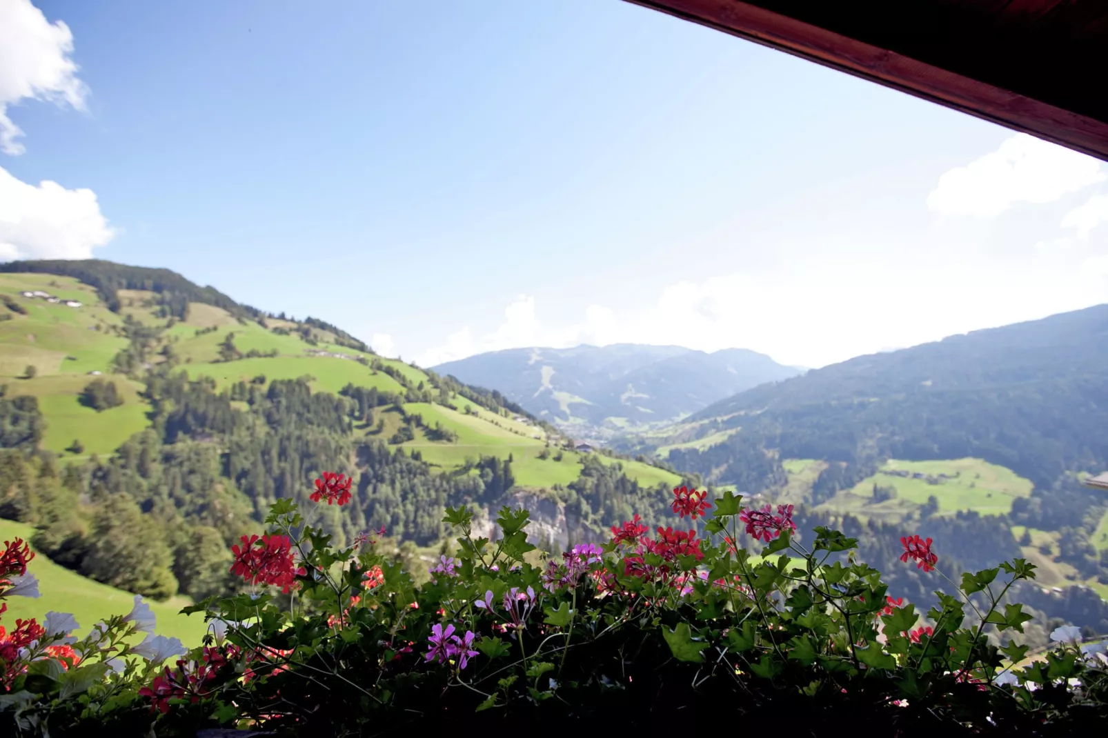 viewsummer