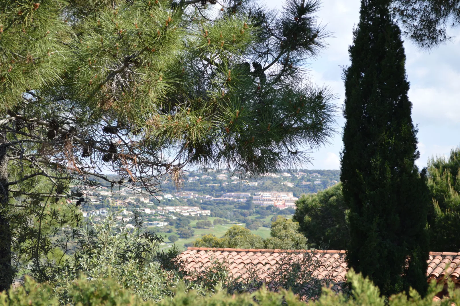 Bellevue-Uitzicht zomer