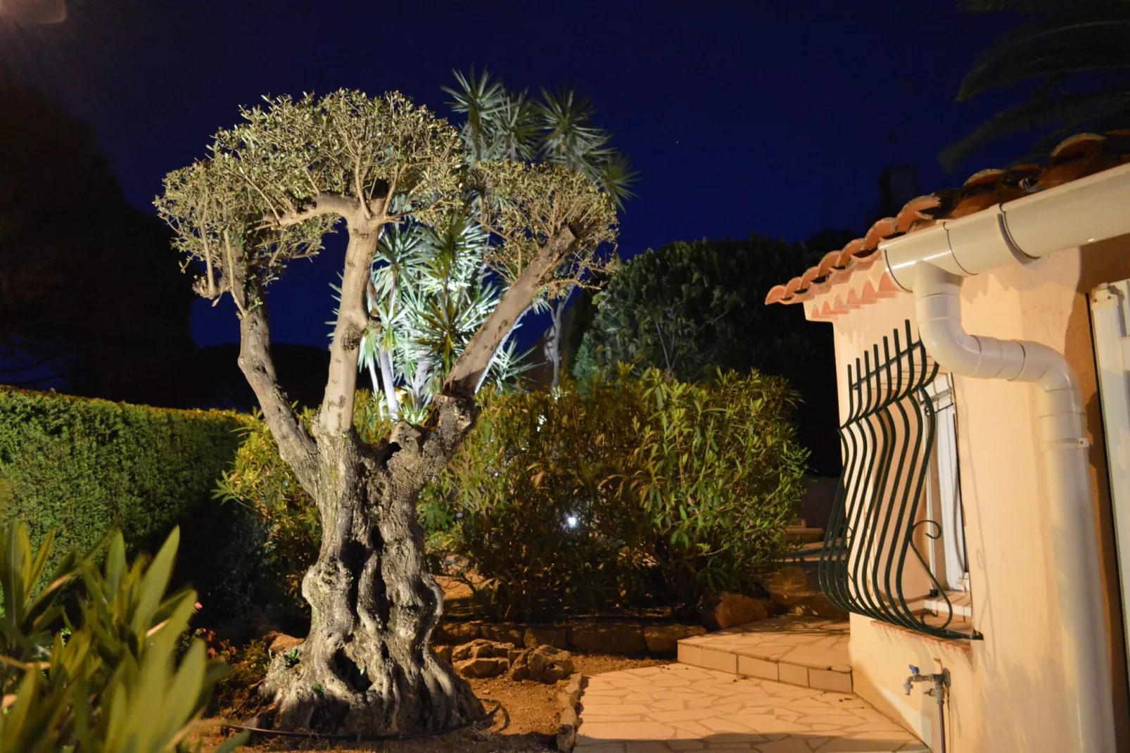 Bellevue-Tuinen zomer