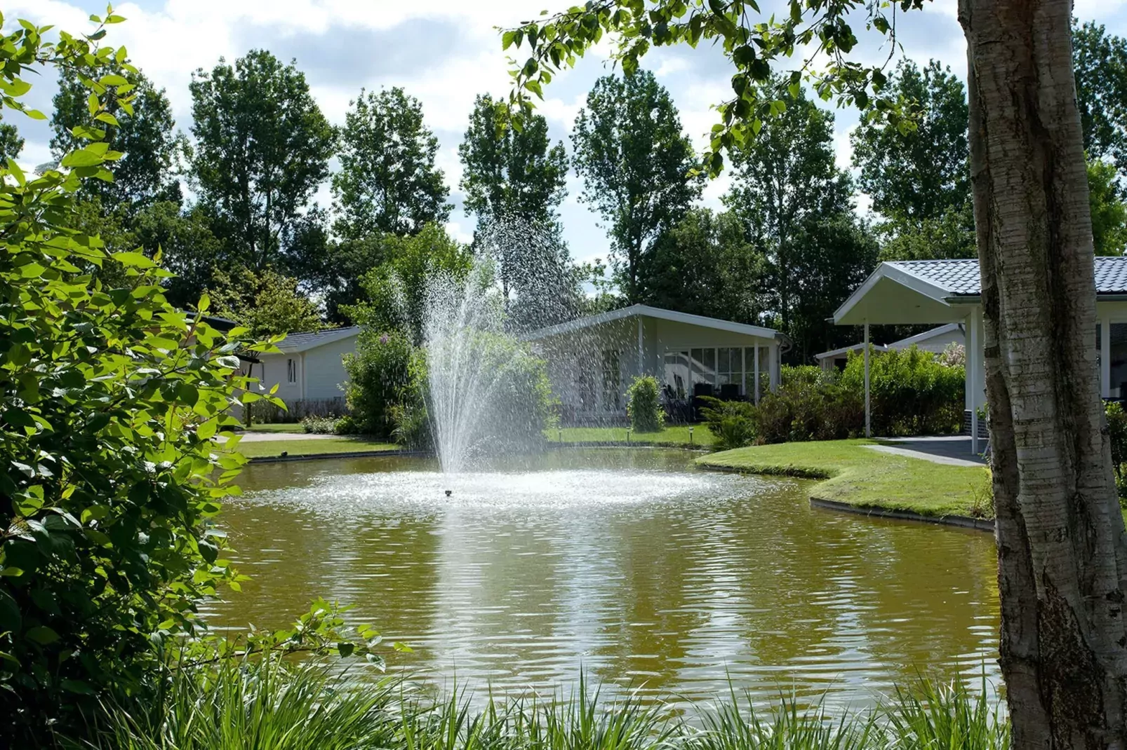 Vakantiepark Molengroet 4-Gebieden zomer 1km