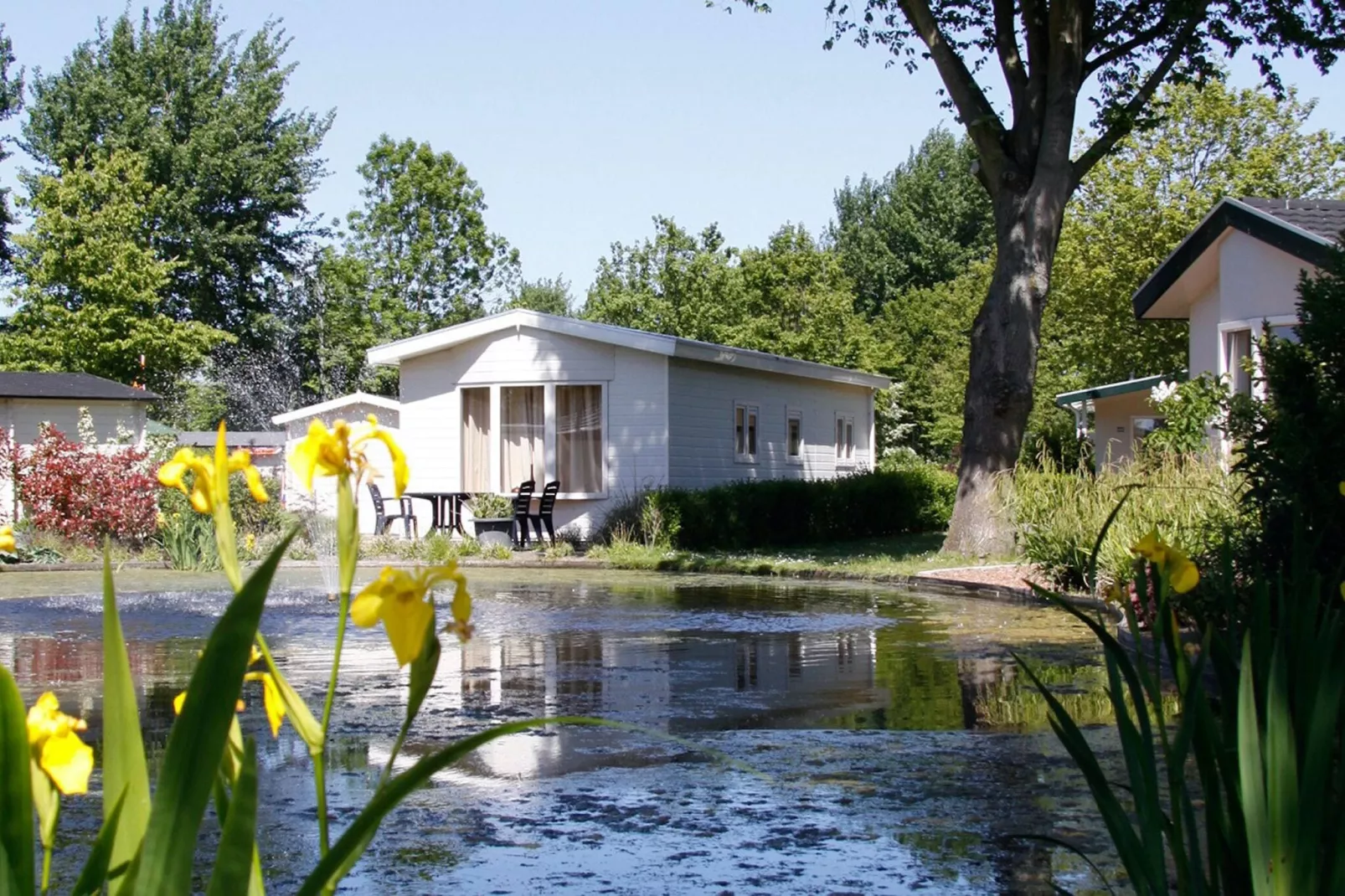 Vakantiepark Molengroet 4-Gebieden zomer 1km